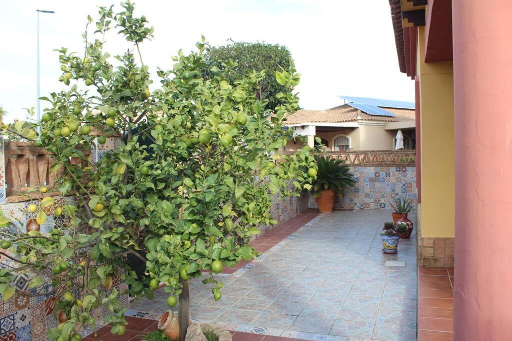 Casa 4 Dormitorios En 阿亚蒙特 外观 照片