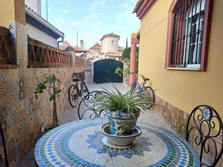 Casa 4 Dormitorios En 阿亚蒙特 外观 照片