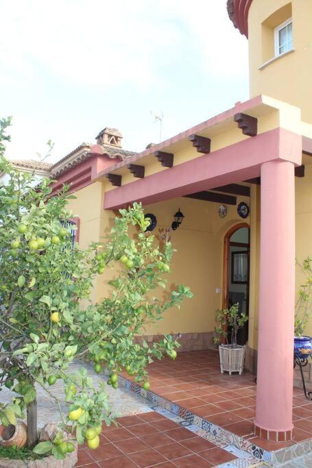 Casa 4 Dormitorios En 阿亚蒙特 外观 照片