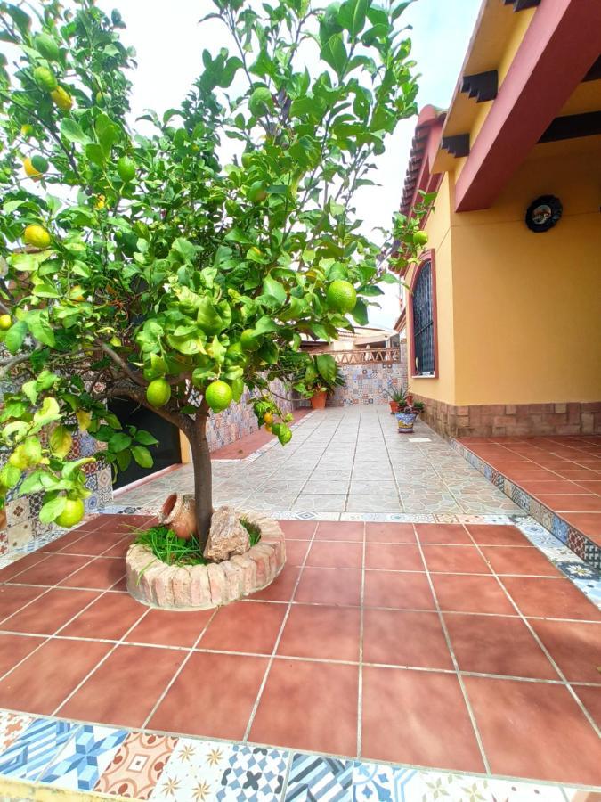 Casa 4 Dormitorios En 阿亚蒙特 外观 照片
